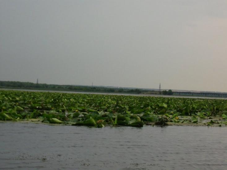 Кругляківка з panoramio.com - Кругляковка