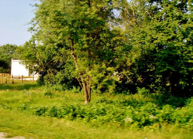 Лук'янівка з panoramio.com - Лук'янівка
