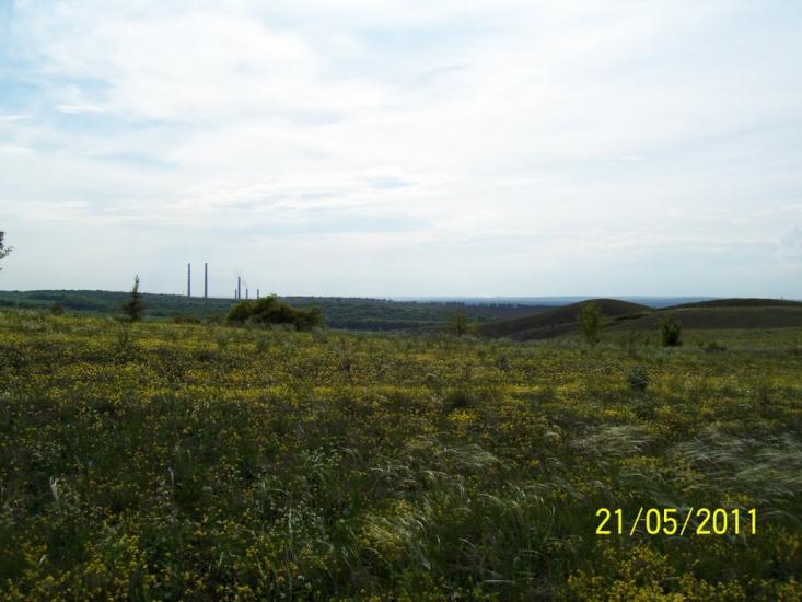 Пискунівка з panoramio.com - Pyskunivka