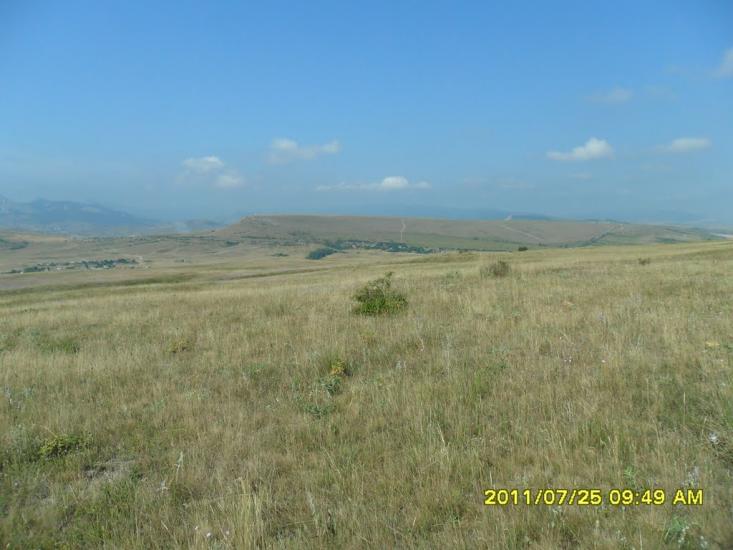 Підгірне з panoramio.com - Підгірне