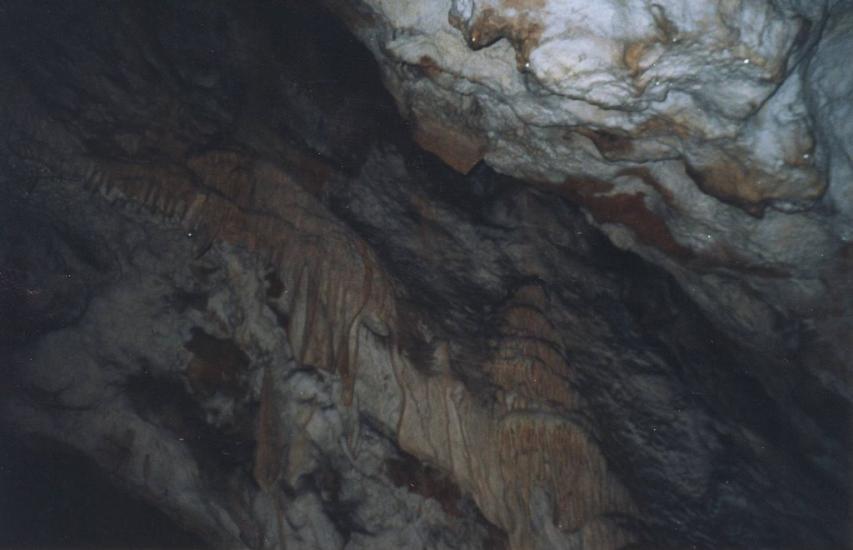 Пчолине з panoramio.com - Пчелиное