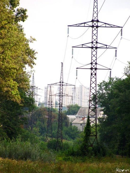 Зайченки з panoramio.com - Зайченки