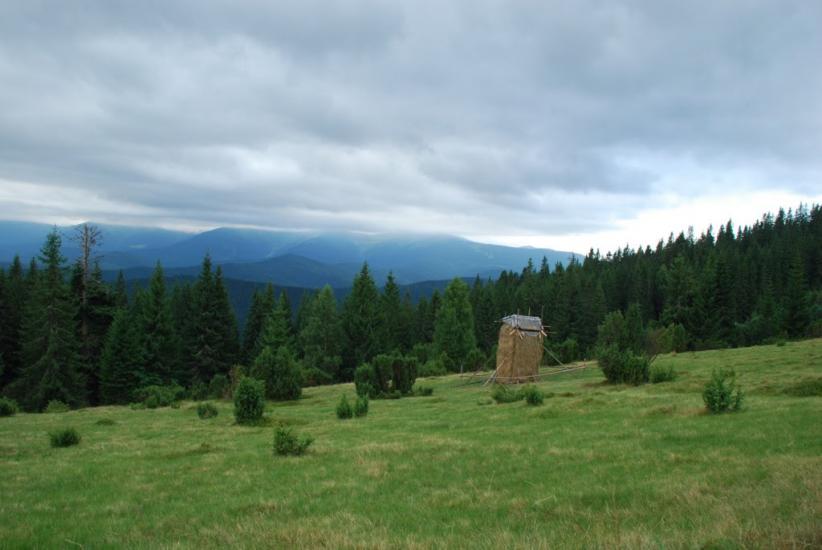 Згари з panoramio.com - Згари