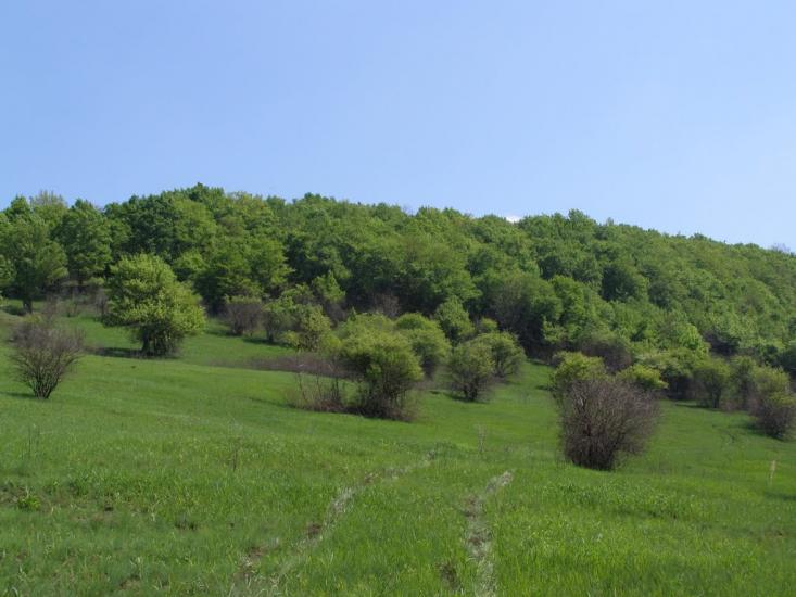 Черкасівка з panoramio.com - Cherkasivka