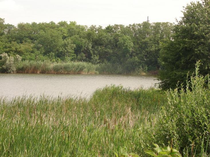 Новий Донбас з panoramio.com - Novyy Donbas