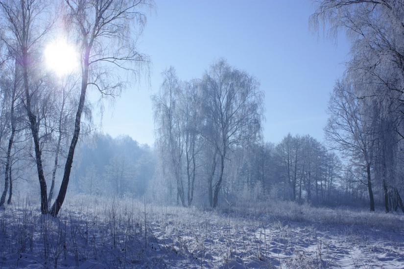 Суховоля з panoramio.com - Sukhovolya
