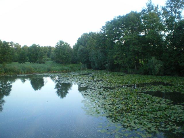 Черепашинці з panoramio.com - Cherepashyntsi