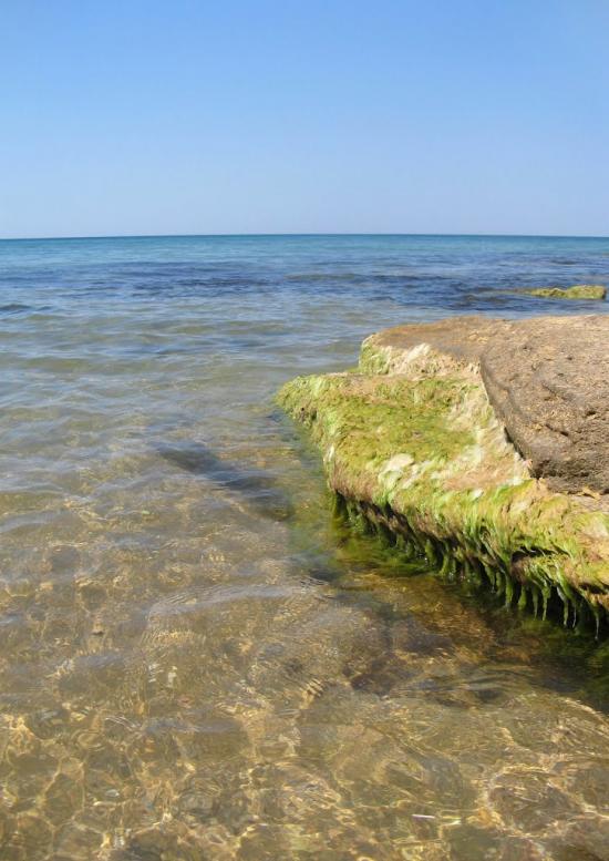 Осипенко з panoramio.com - Осипенко