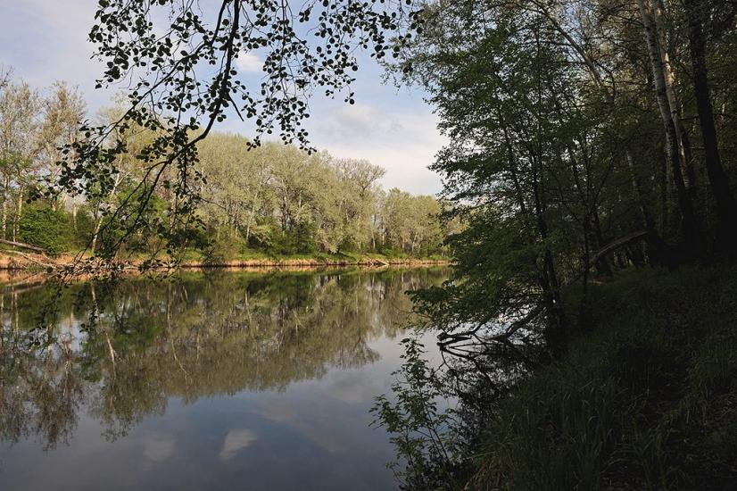 Богородичне з panoramio.com - Богородичное