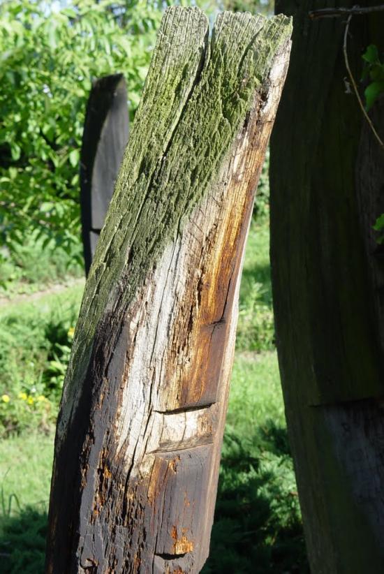 Бадалово з panoramio.com - Badalovo