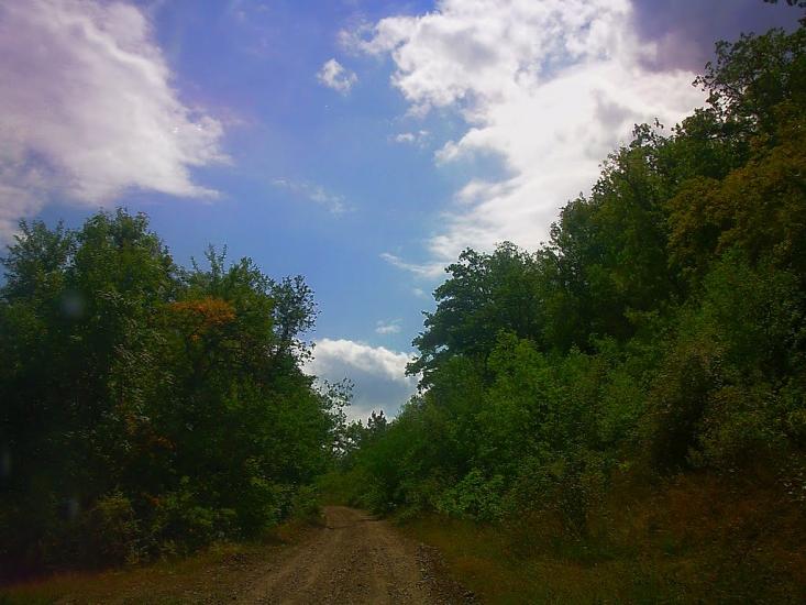 Щасливе з panoramio.com - Schaslyve