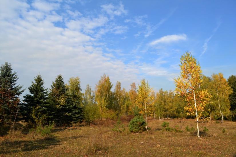 Теребовля з panoramio.com - Теребовля