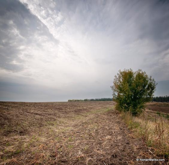 Гулі з panoramio.com - Гулі