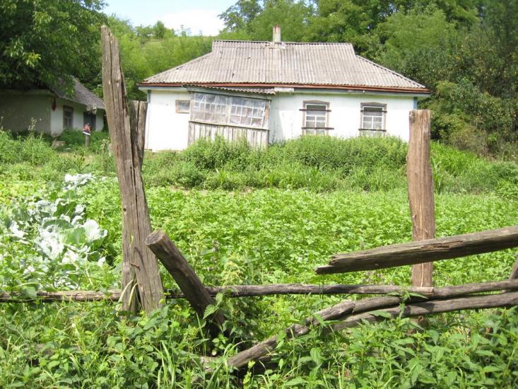 Григорівка з panoramio.com - Григоровка