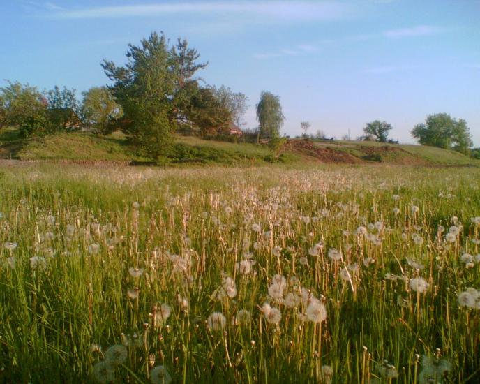 Безручки з panoramio.com - Безручки