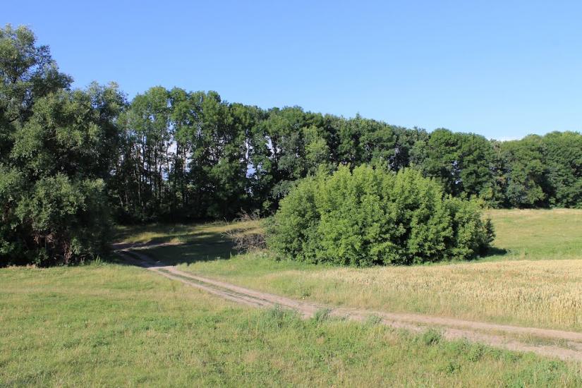 Бабинці з panoramio.com - Бабинцы