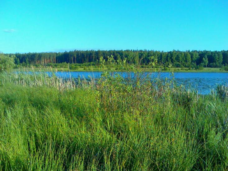 Макове з panoramio.com - Маково