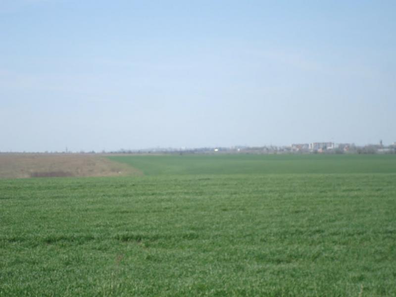 Мала Колибань з panoramio.com - Мала Колибань