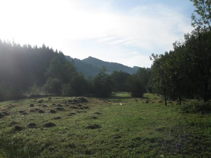 Мерешор з panoramio.com - Мерешор