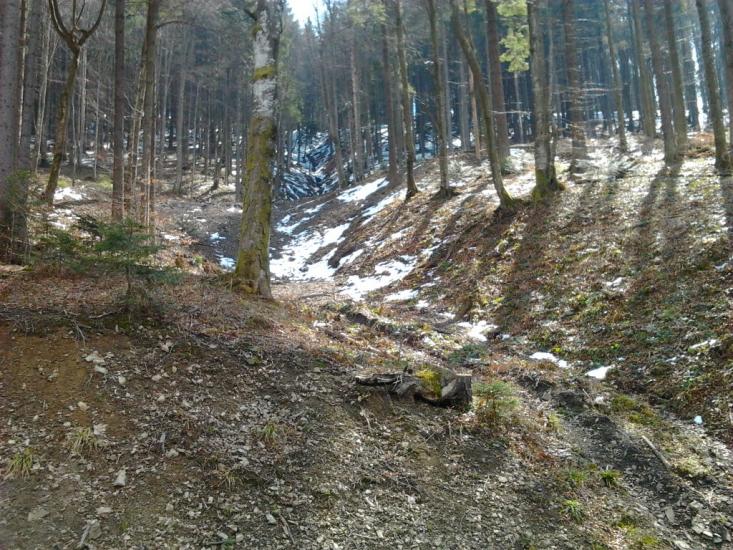 Кам'янка з panoramio.com - Каменка