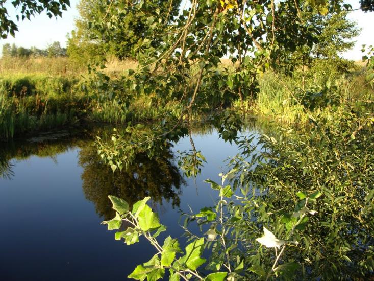 Хотянівка з panoramio.com - Хотяновка