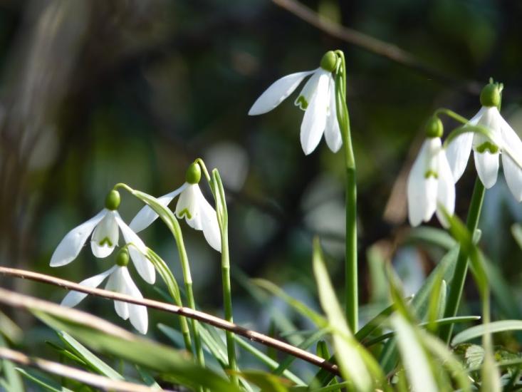 Рибник з panoramio.com - Рибник