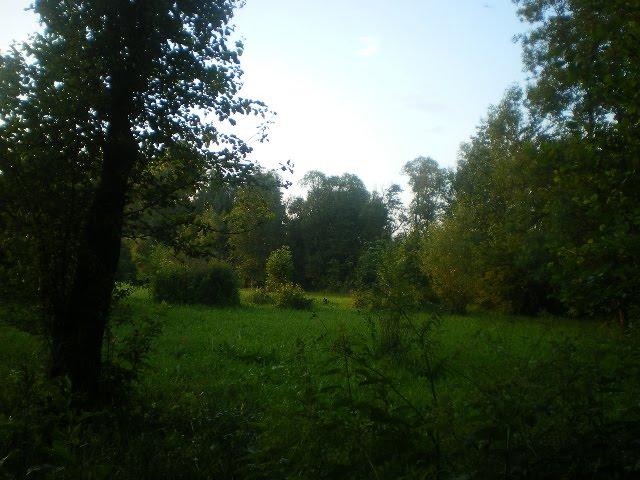 Черепашинці з panoramio.com - Cherepashyntsi