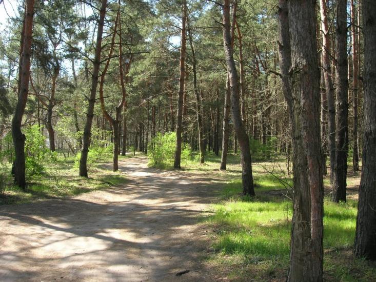 Інгулець з panoramio.com - Ингулец