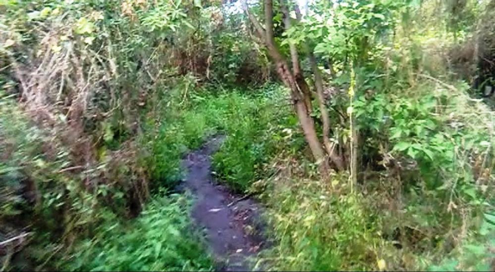 Стара Синява з panoramio.com - Стара Синява