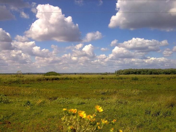 Піщанівка з panoramio.com - Песчановка