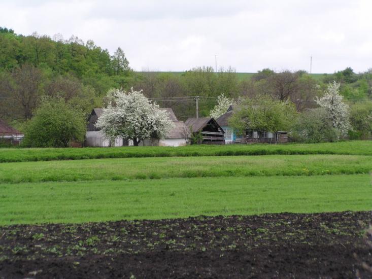 Іванівка з panoramio.com - Іванівка