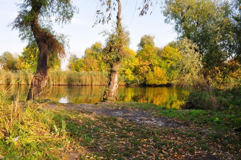 Комишани з panoramio.com - Комишани