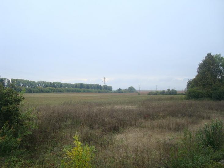 Григорівка з panoramio.com - Григорівка
