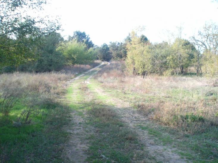 Лимани з panoramio.com - Лиманы