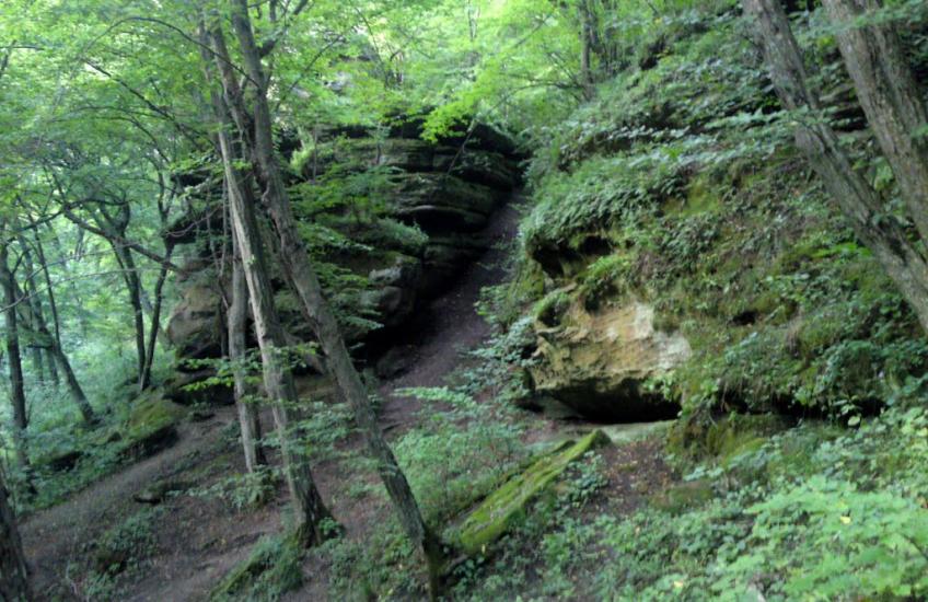 Слобода-Бушанська з panoramio.com - Слобода-Бушанська