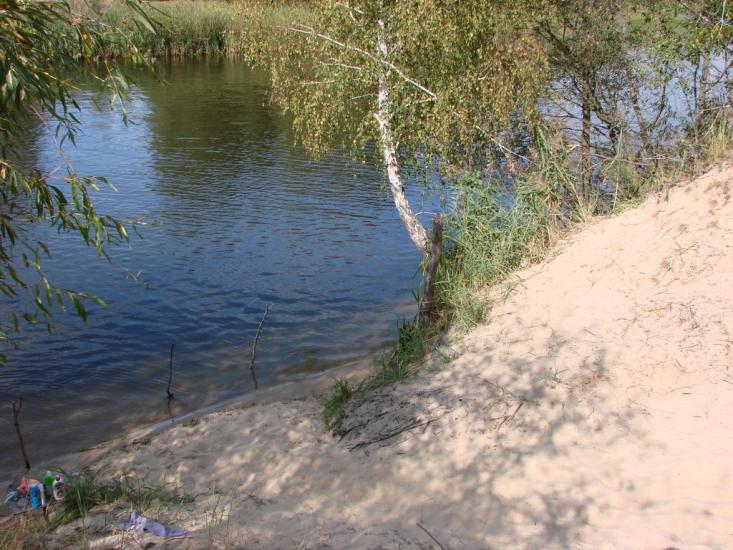 Сорокошичі з panoramio.com - Сорокошичи