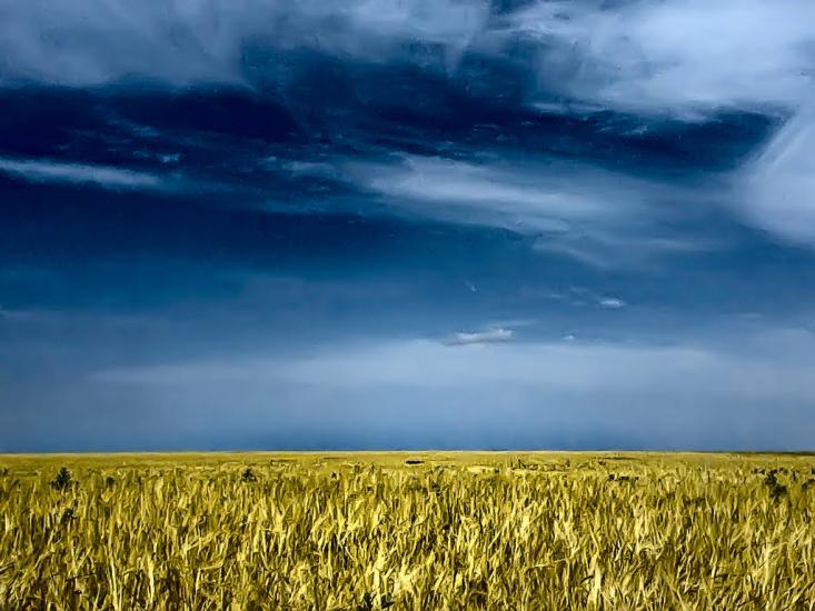 Волошине з panoramio.com - Волошино
