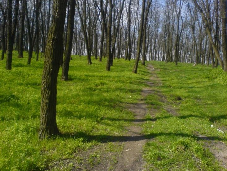 Горького з panoramio.com - Горького