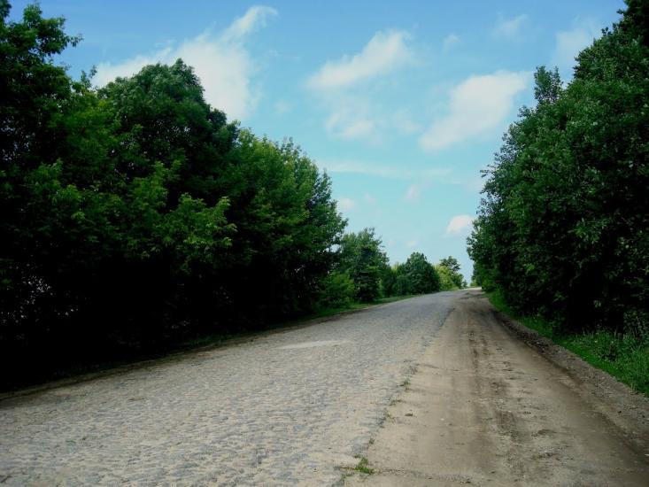 Черепова з panoramio.com - Черепова