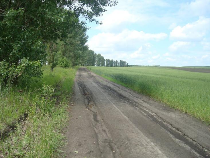 Давидківці з panoramio.com - Давыдковцы
