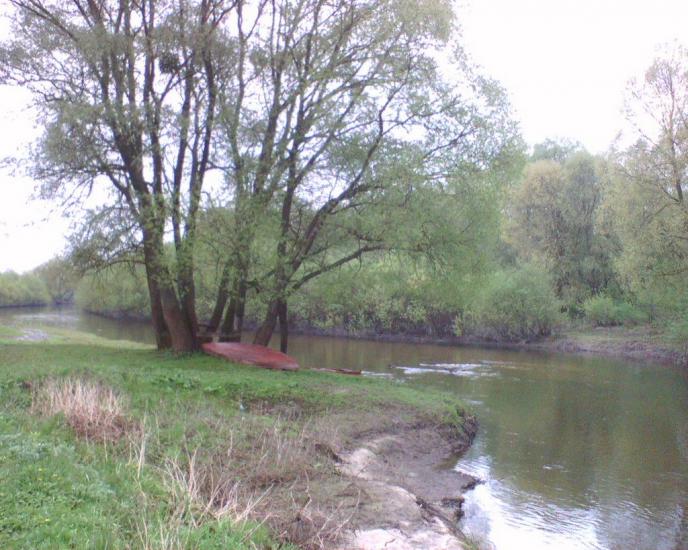 Камінь з panoramio.com - Камінь