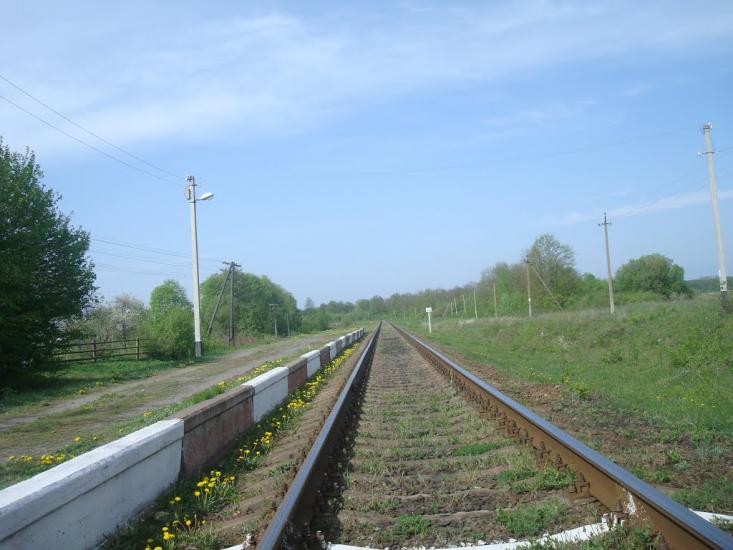 Шевченка з panoramio.com - Шевченко