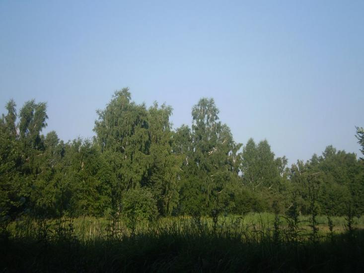Селище з panoramio.com - Селище