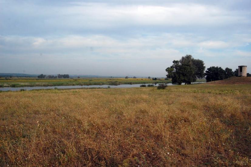 Борівське з panoramio.com - Борівське