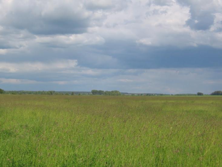 Терехівка з panoramio.com - Тереховка