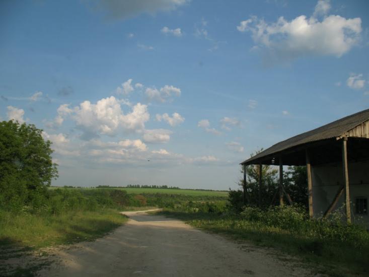 Грабарівка з panoramio.com - Грабарівка