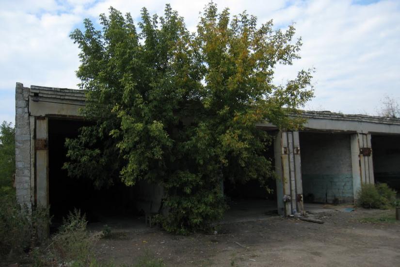 Білоріченський з panoramio.com - Белореченский