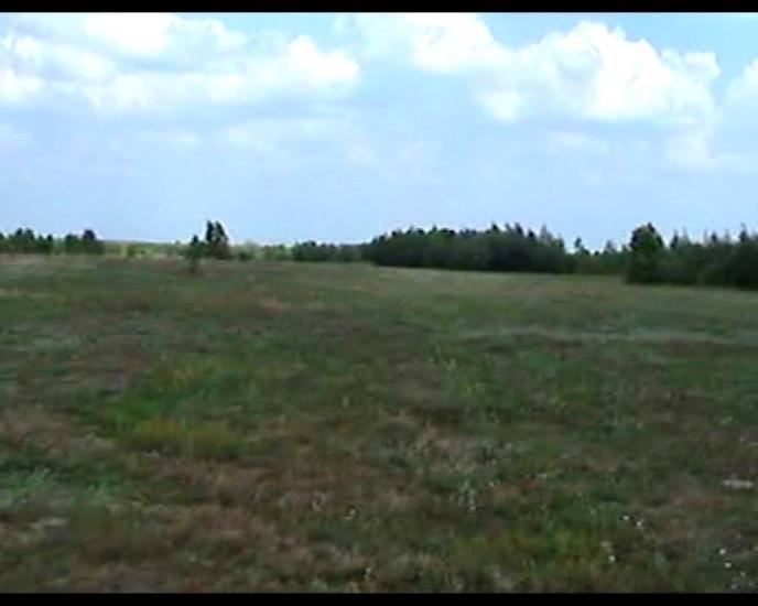 Сошники з panoramio.com - Сошники