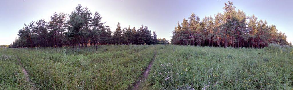 Кринична з panoramio.com - Криничная