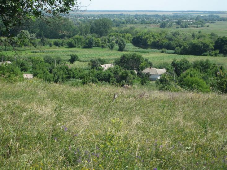 Хворостянівка з panoramio.com - Хворостянівка